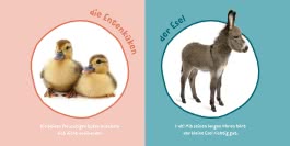 Innenansicht von „Mein Baby-Pixi-Buggybuch: Meine ersten Tiere “