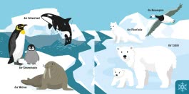 Baby Pixi (unkaputtbar) 154: Mein Baby-Pixi-Buggybuch: Tolle Tiere