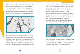 Pokémon Lesebuch: Mein Geschichten-Abenteuer: Helden gesucht!