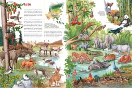 Innenansicht von „Mein großer Tieratlas“