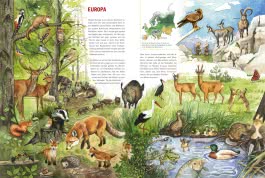 Innenansicht von „Mein großer Tieratlas“