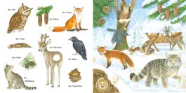 Mein kleines buntes Bildwörterbuch: Im Wald