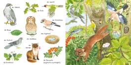 Mein kleines buntes Bildwörterbuch: Im Wald
