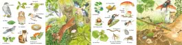 Mein kleines buntes Bildwörterbuch: Im Wald