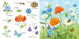 Mein kleines buntes Bildwörterbuch: Krabbeltiere und Blümchen