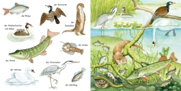 Mein kleines buntes Bildwörterbuch: Tiere im und am Wasser