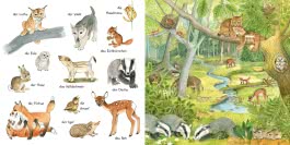 Mein kleines buntes Bildwörterbuch: Viele Tierkinder