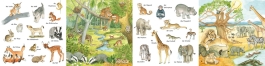Mein kleines buntes Bildwörterbuch: Viele Tierkinder