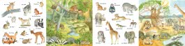 Mein kleines buntes Bildwörterbuch: Viele Tierkinder