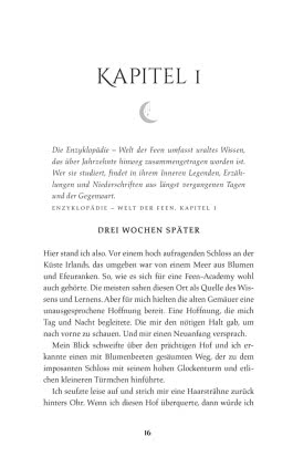 Moonlight Academy. Feenzauber