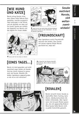 Naruto - Die Schriften des Rin (Neuedition)