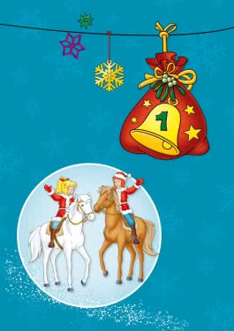 Bibi & Tina: Nick, der Schlittenhund: Mein Adventskalenderbuch