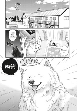 One Room Dog 1