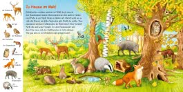 Pass gut auf das kleine Eichhörnchen auf