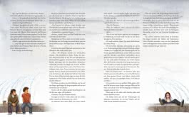 Percy Jackson - Diebe im Olymp (farbig illustrierte Schmuckausgabe) (Percy Jackson 1)
