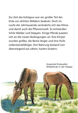 Pixi Wissen 1: Pferde und Ponys