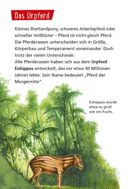 Pixi Wissen 1: Pferde und Ponys