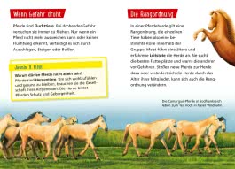 Pixi Wissen 1: Pferde und Ponys