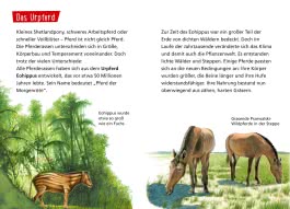 Pixi Wissen 1: Pferde und Ponys