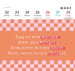 Innenansicht von „Pferdemädchen 2027 - Zum Reiten geboren, zum Ausmisten verdammt.“