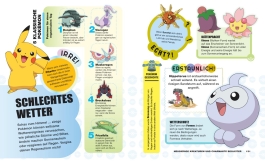 Innenansicht von „Pokémon: Alles, was du wissen musst“