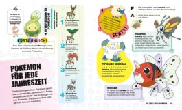 Innenansicht von „Pokémon: Alles, was du wissen musst“