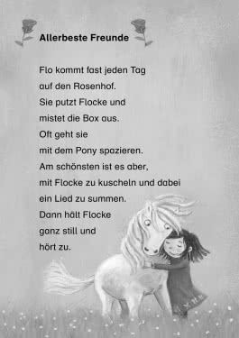 Pony Flocke Doppelband – Enthält die Bände: Allerbeste Freunde / Ein Pony in der Schule