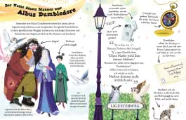 Innenansicht von „Professor Dumbledore“