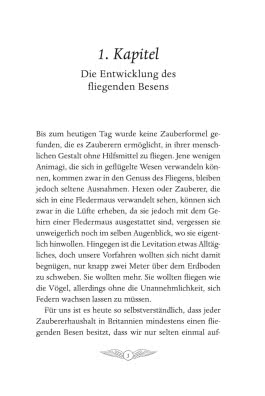 Hogwarts-Schulbücher: Quidditch im Wandel der Zeiten