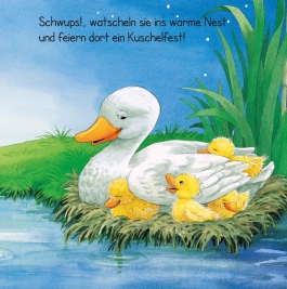 Baby Pixi (unkaputtbar) 40: Schlaf schön, kleines Tierkind