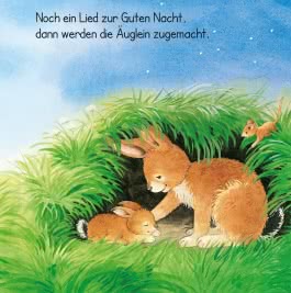 Baby Pixi (unkaputtbar) 40: Schlaf schön, kleines Tierkind