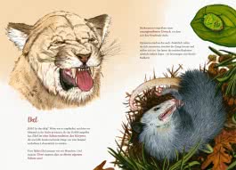 Innenansicht von „So fühlen die Tiere“