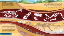 So lebten die Dinosaurier und andere Tiere der Urzeit
