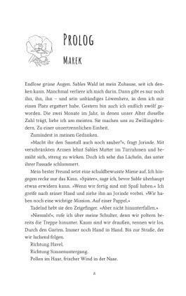 Innenansicht von „Sommergeflüster“