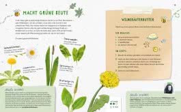 Innenansicht von „Spiele & Rituale für euren Alltag“