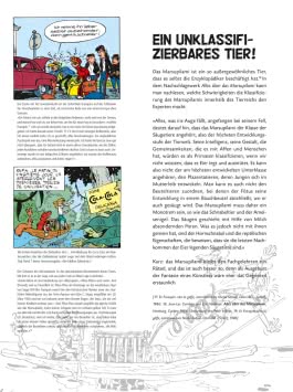 Spirou und Fantasio Gesamtausgabe Neuedition 2