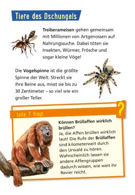 Pixi Wissen 42: Tiere der Welt