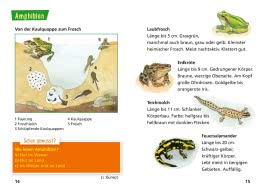Pixi Wissen 30: Tiere erkennen