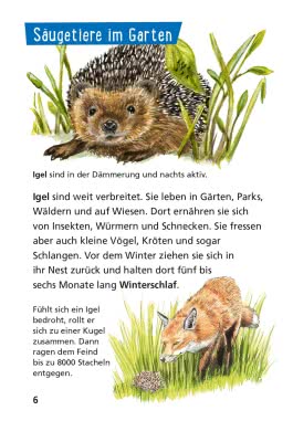 Pixi Wissen 17: Tiere in unserer Nähe