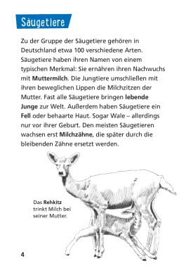 Pixi Wissen 17: Tiere in unserer Nähe