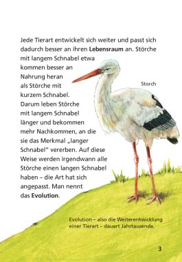 Pixi Wissen 17: Tiere in unserer Nähe