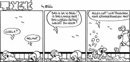 TOM Touché 9500: Comicstrips und Cartoons