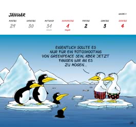 Uli Stein Postkartenkalender 2026