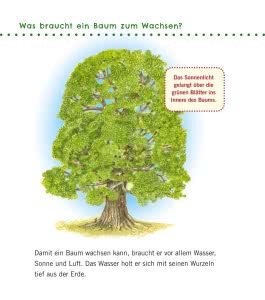 Unkaputtbar: Erstes Wissen: Im Wald