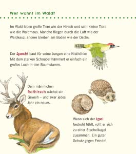 Unkaputtbar: Erstes Wissen: Im Wald