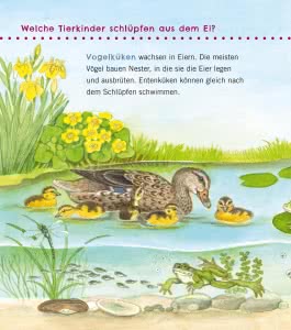 Unkaputtbar: Erstes Wissen: Tiere und ihre Kinder