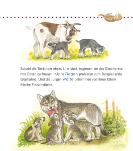 Unkaputtbar: Erstes Wissen: Tiere und ihre Kinder