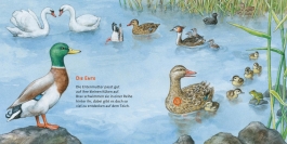 Hör mal (Soundbuch): Unsere Vögel