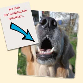 Uli Stein für Tierfreunde: Viel Spaß mit Hunden