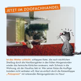 Viel Spaß mit Katzen